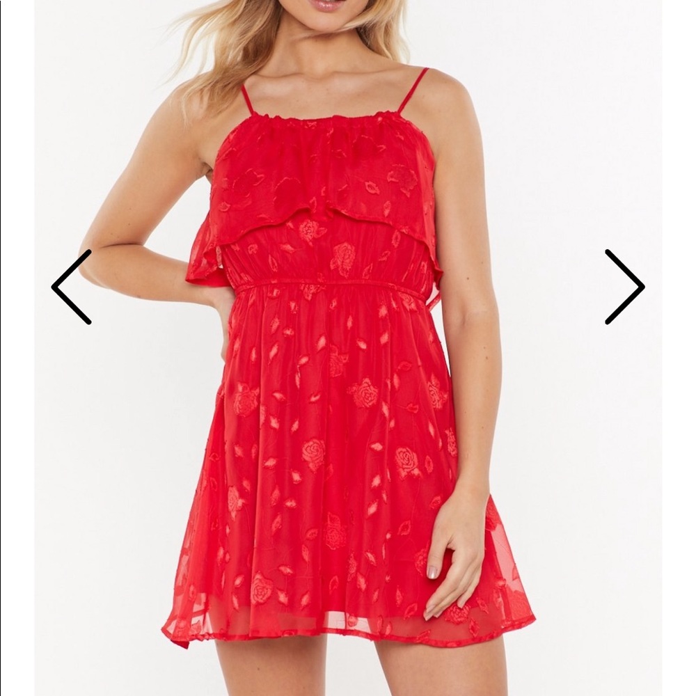 Nasty gal red rose embroidered dress